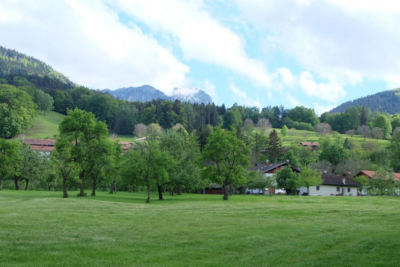 Appartement Am Jenbach à Bad Feilnbach Extérieur photo