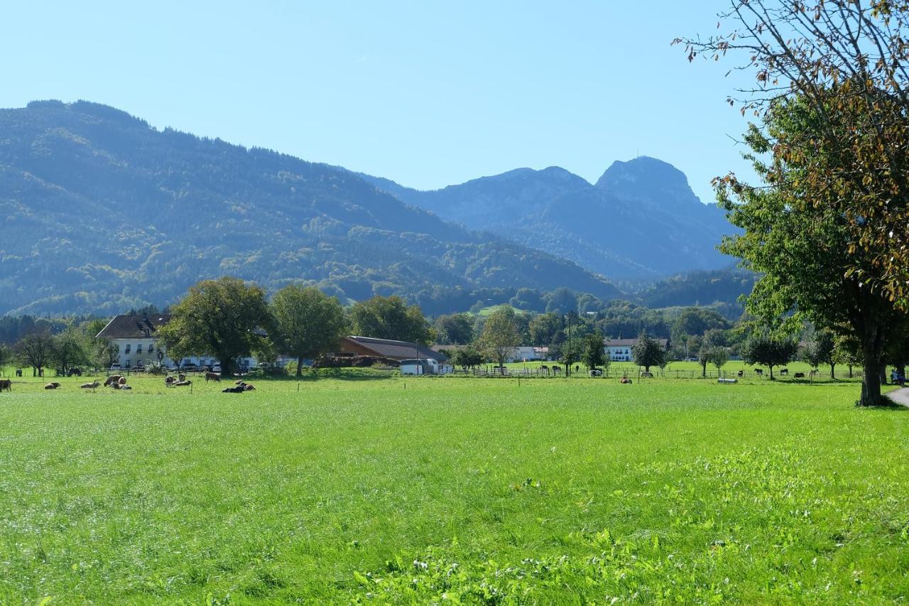 Appartement Am Jenbach à Bad Feilnbach Extérieur photo